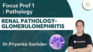 Renal PathologyGlomerulonephritis  Focus Prof 1 Unacademy Future Doctors  DrPriyanka [upl. by Neehs991]