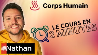 BILAN THERMIQUE DU CORPS HUMAIN  1ere Enseignement Scientifique [upl. by Origra]