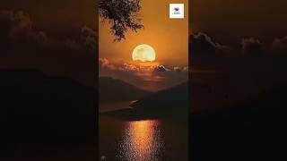 A Beautiful EveningRelax music 😍 evening relax soulsoother viralshort nature plzsubscribe [upl. by Drisko235]