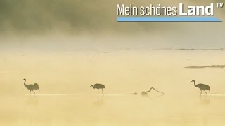 Spätsommer in der Nordheide  die schönsten Höfe Norddeutschlands NDR [upl. by Sanborne]