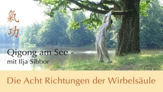 Qigong  Acht Richtungen der Wirbelsäule [upl. by Eeliak784]