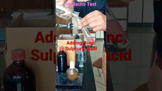 Identification Test for Carbohydrates  Molischs Test [upl. by Binnings]