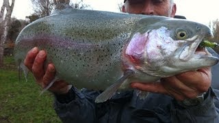 Enorme truite arc en ciel de 6kg prise à la mouche [upl. by Aleacin]