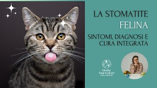 Stomatite felina tutto quello che devi sapere [upl. by Nellaf]