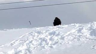 Raven Sliding Down Roof of West Yellowstone Public Library [upl. by Kam]