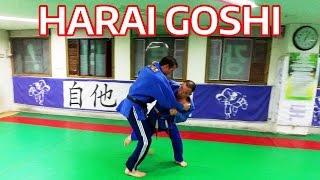 Harai Goshi  Combos by 8th Dan Korean Judo Master 허리후리기 [upl. by Rohpotsirhc]