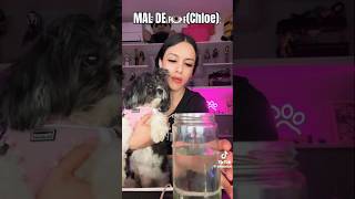 Mal De 👁️ Chloe Pt 1 AlbaDubai Vídeo de TikTok [upl. by Kamaria]