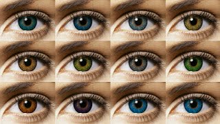 Freshlook Colorblends All 12 Colors Contact Lens Review [upl. by Gillman]