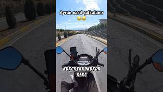 Ayran çalkalayan motor 😱😂 shorts keşfet kurye motovlog viral fyp tiktok trendyolgo [upl. by Anaihr858]