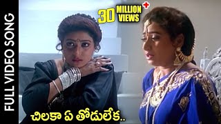 Subhalagnam Movie  Chilaka Ye Thodu Leka Video Song  Jagapathi Babu Aamani  Shalimarcinema [upl. by Eetsud]