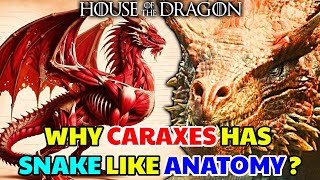 Caraxes Dragon Anatomy – Why Daemons Dragon Has Snake Like Physiology Different Than Other Dragons [upl. by Nayar712]