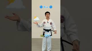 Taekwondo Belt Colours Explained 🥋 [upl. by Virgie]