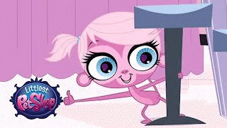 Littlest Pet Shop South Africa  Meet Minka Mark Official Clip [upl. by Zailer]