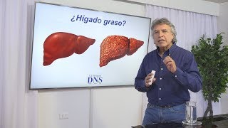 Hígado Graso ¿Cómo desengrasarlo [upl. by Mcloughlin]