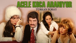 Acele Koca Aranıyor  Türk Filmi  FULL HD İZLE  TÜRKAN ŞORAY [upl. by Alor]