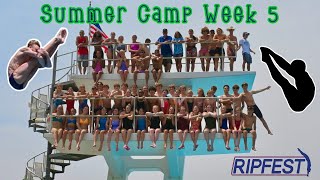 Ripfest Diving Summer Camp WEEK 5 RECAP Official Video  2023 [upl. by Derriey]