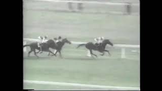 NIJINSKY II St Leger Stakes 1970 [upl. by Daphne]