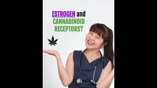 Estrogen and Cannabinoid Receptors [upl. by Baal]