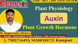 Auxin  Plant Hormone  Plant Physiology  CSIR NETJRF  Life science  GATE DBT [upl. by Concordia]