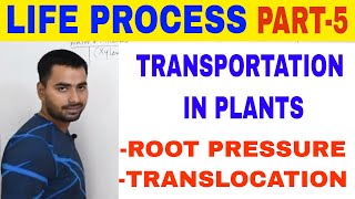 LIFE PROCESS TRANSPORTATION IN PLANTS PART 5 [upl. by Denise]