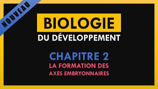 Biologie de développement  Chapitre 2  La formation des axes embryonnaires [upl. by Jae]