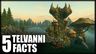 Skyrim  5 Telvanni Facts  Elder Scrolls Lore [upl. by Lona77]