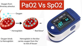 What is PaO2 and SpO2  What is difference between Oxygen saturation and Partial pressure of Oxygen [upl. by Dolph]