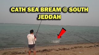 CATCH SEA BREAM  SOUTH JEDDAH HD [upl. by Anilem169]