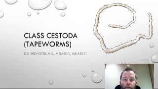 Cestoda 1 of 3 [upl. by Neva]