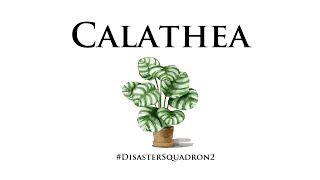 Calathea 2024 Recap 84  A Very Unexpected Reunion [upl. by Rozella939]