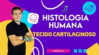 Histologia Humana  Tecido Cartilaginoso [upl. by Lehsreh146]