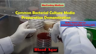 Common Bacterial Culture Media Preparation Demonstration Macconkey Blood and MullerHinton agar [upl. by Sheffie]