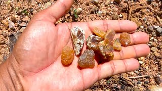 Finding Natural Chalcedony Carnelian Agate Gemstones At The Mountain Episode133 [upl. by Normy]