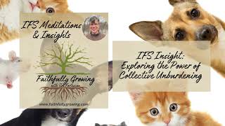 IFS INSIGHT Exploring the Power of Collective Unburdening [upl. by Lac621]