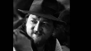 Rainer Werner Fassbinder Biografie  Deutsche Schauspieler [upl. by Oliy]