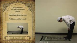 How to Pray  Asr Afternoon Pray  Fardh [upl. by Enelav418]