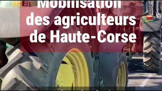 Bastia  le convoi des agriculteurs pénètre dans le centreville [upl. by Corvese]