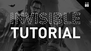 HalfLife 2s Invisible Tutorial [upl. by Kosaka357]