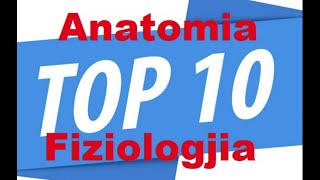 Anatomia amp Fiziologjia 10TOP Pyetjet ne  QUIZ [upl. by Ydisac]