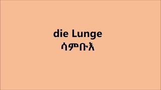 Deutsch Tigrinya lernen 14 ጀርመን ትግርኛ 14 [upl. by Naj85]