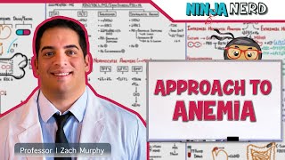 CBC  Approach to Anemia [upl. by Jeffy]