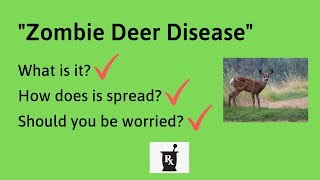 Zombie Deer Disease Explained  Should You be Worried [upl. by Marl]