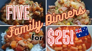 5 FAMILY DINNERS FOR 25AUD Budget meal ideas to feed the family  Save money on groceries [upl. by Jacklyn]