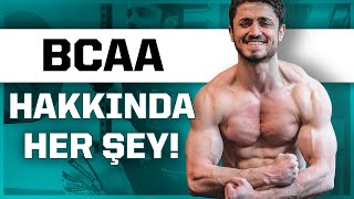 BCAA Nedir Ne Zaman Kullanılır BCAA mı Protein Tozu mu [upl. by Sayre]