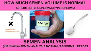 SEMEN VOLUME INHINDINORMAL SEMEN VOLUMELOW SEMENNO SEMENASPERMIAHYPOSPERMIAHYPERSPERMIA [upl. by Amlet711]