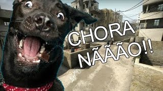 CACHORRO CHORANDO JOGANDO CSGO [upl. by Leventhal]