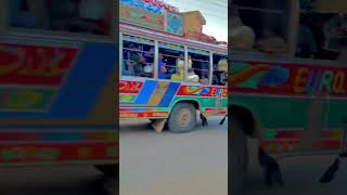 shakargarh buses shorts [upl. by Reinold280]