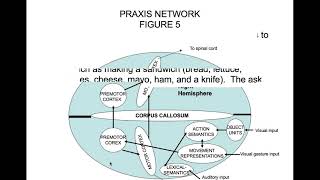 Apraxia Part 3 Conceptional Ideational and Construction Apraxia [upl. by Airretnahs233]