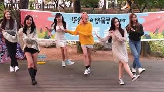 momoland banana cha cha dance mirror [upl. by Geldens900]