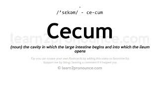 Pronunciation of Cecum  Definition of Cecum [upl. by Trebleda]